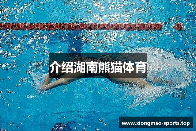 介绍湖南熊猫体育